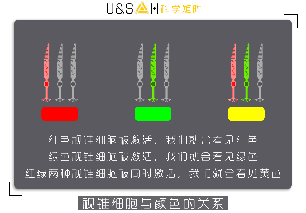 三原色究竟是哪三个？真让人伤脑筋