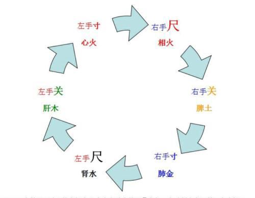 中医脉搏顺口溜汇总，学会它你也能号脉了，朗朗上口，值得收藏