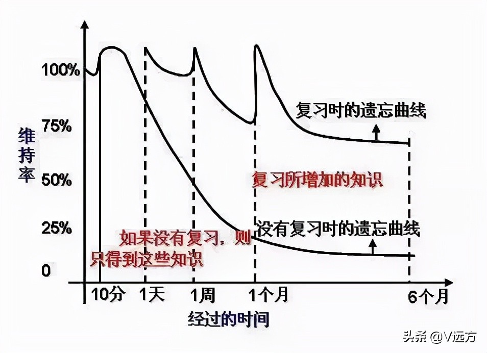 掌握科学方法，高效记忆单词