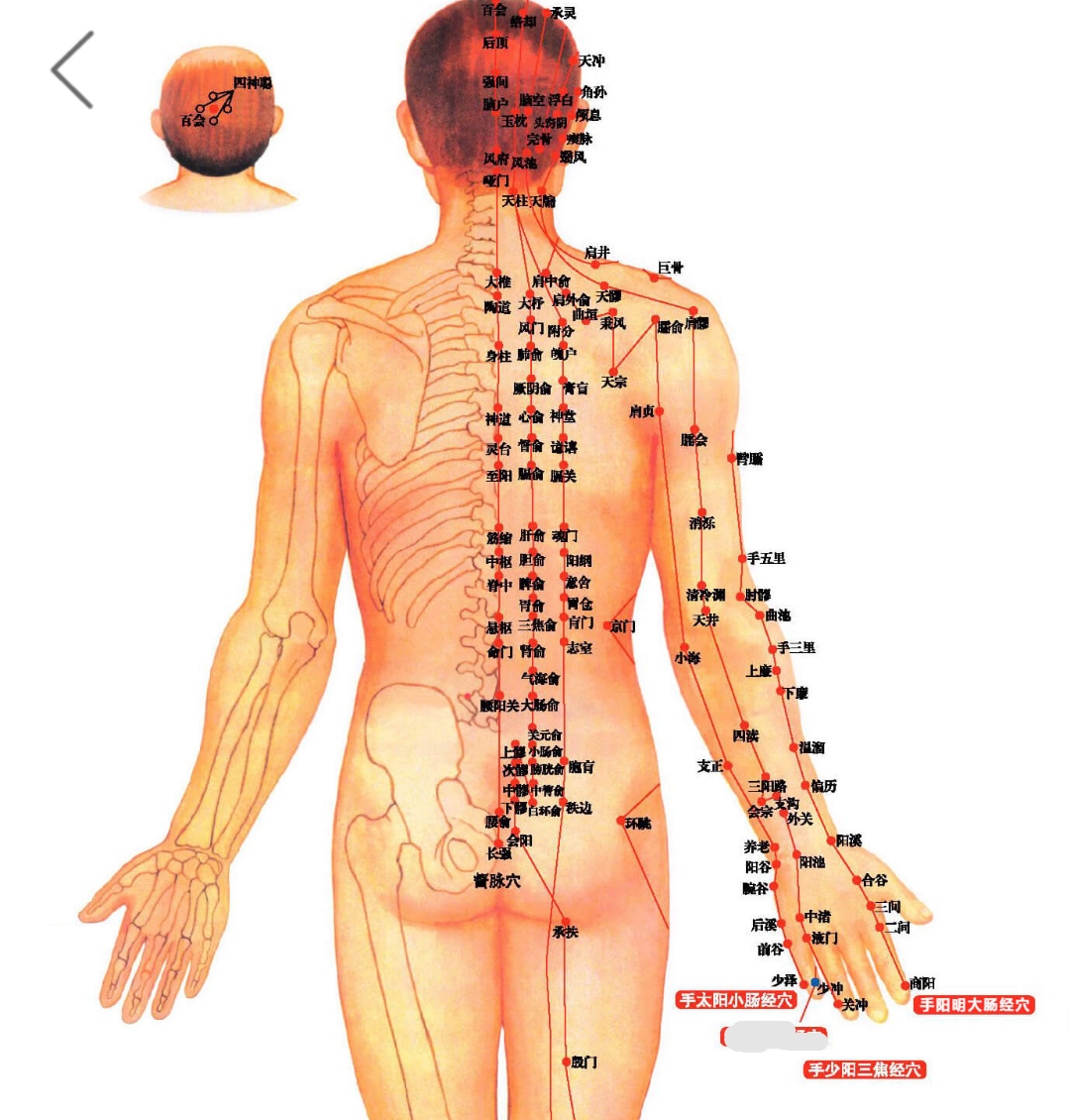 三分钟巧记十二经络名称、位置，终身不忘！