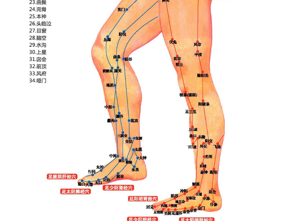 三分钟巧记十二经络名称、位置，终身不忘！