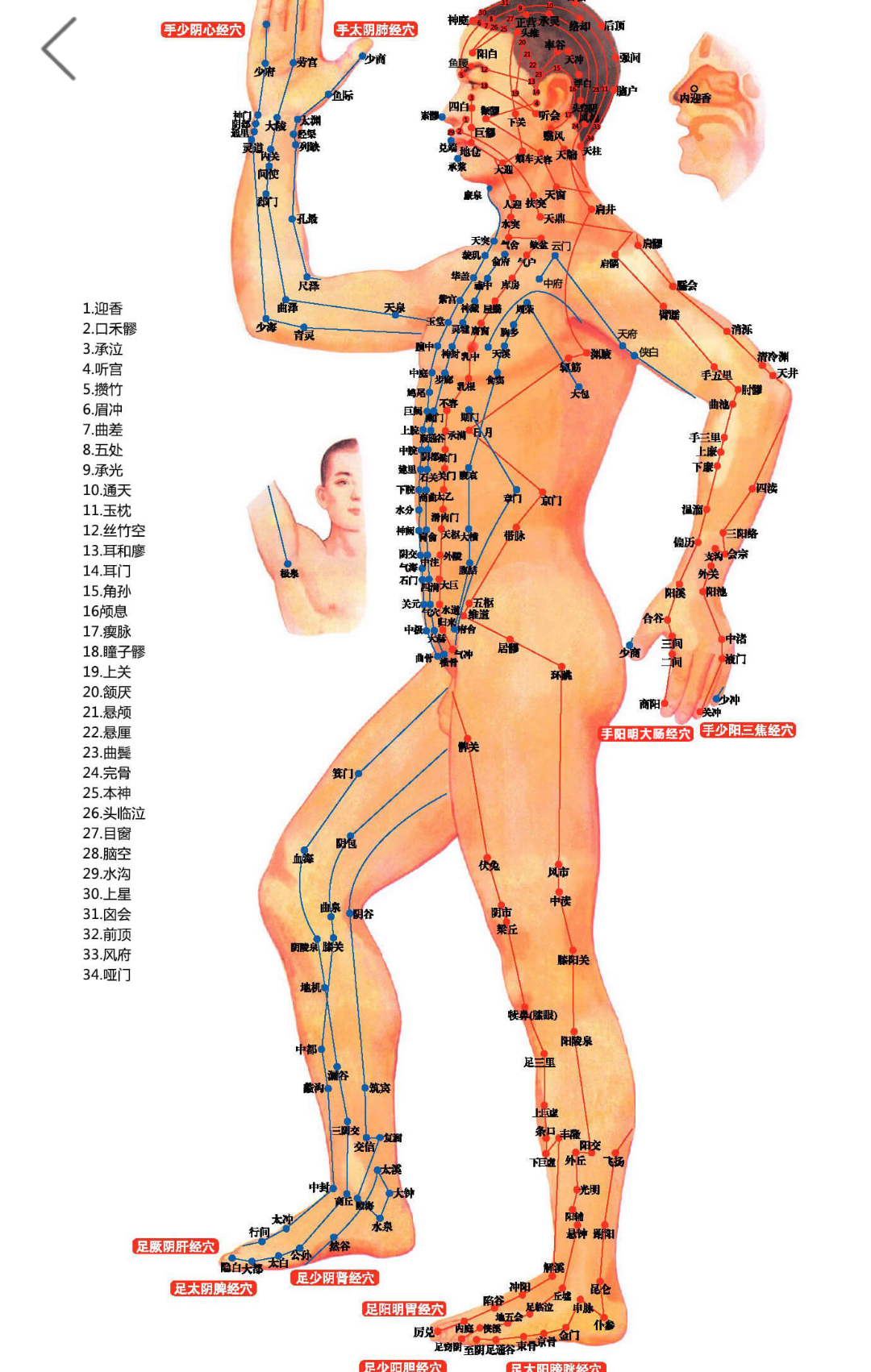 三分钟巧记十二经络名称、位置，终身不忘！