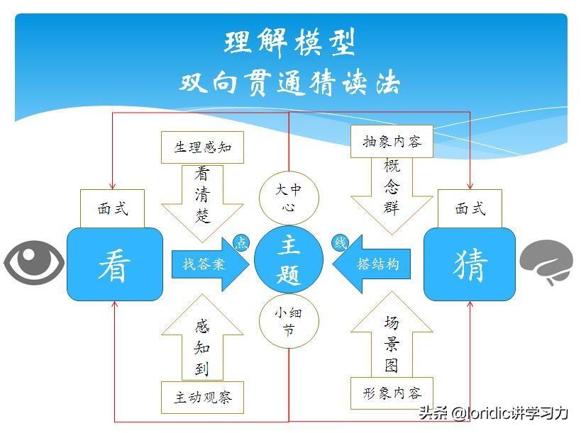 学习力养成记｜我的快速记忆之路