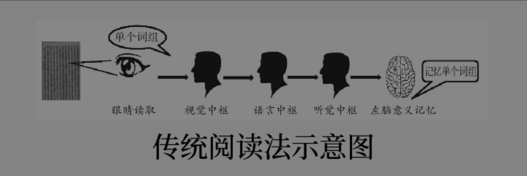 全脑快速阅读法，让你从“毒书大王”逆袭为“读书达人”