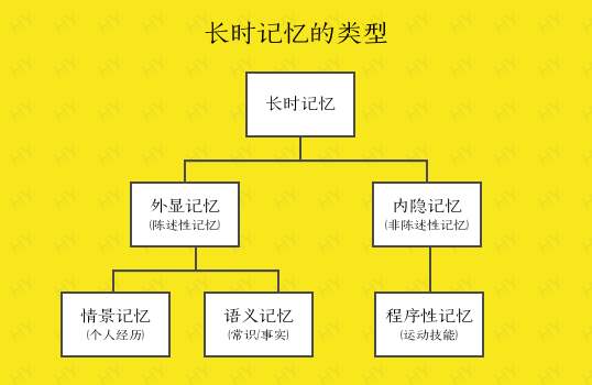 学的知识转眼就忘？这样掌握记忆力的规律，你记什么都会很牢固