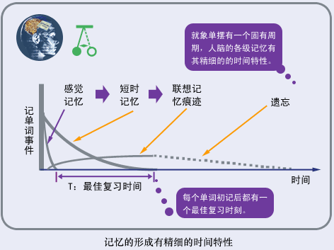 学的知识转眼就忘？这样掌握记忆力的规律，你记什么都会很牢固