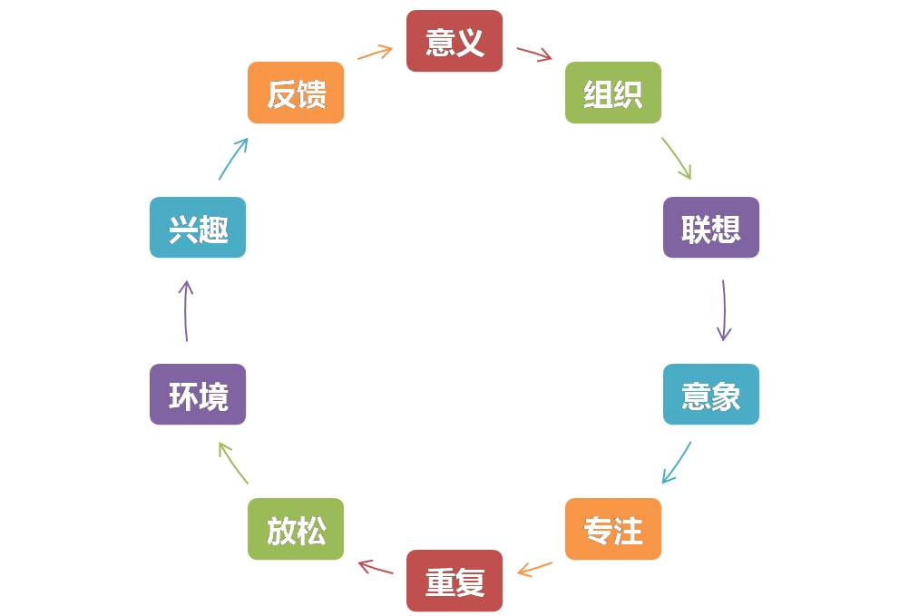 最强大脑的“记忆术”，对学习究竟有没有用？