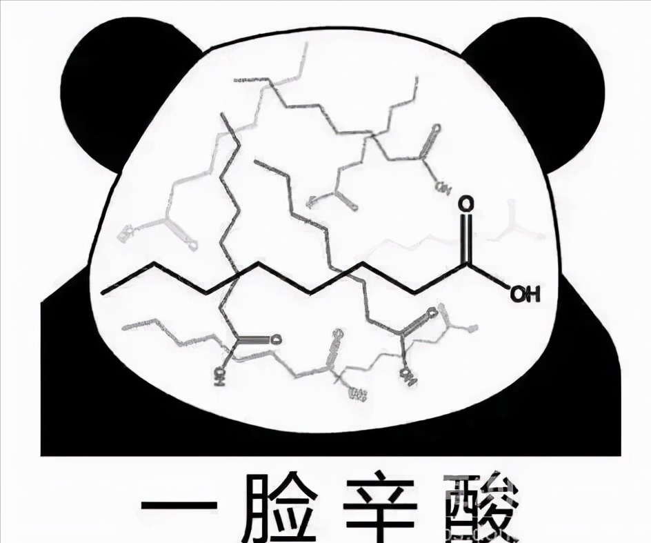 背诵周期，考研冲刺！政治背诵的六大技巧在这里了！专业课背诵也能用