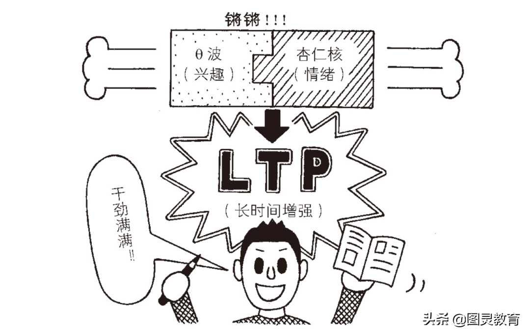 高分神器，百万考生都在用的高效记忆方法，助你决胜高考