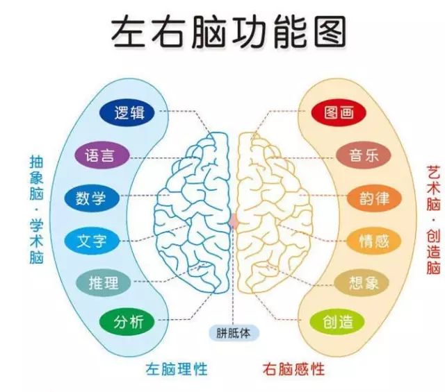 Boss来了！| 记忆力真的可以训练吗？