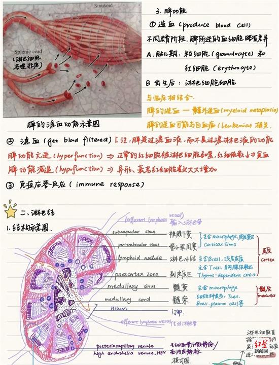 川大学子“宝藏笔记”大PK 原来学霸们是这样练成的