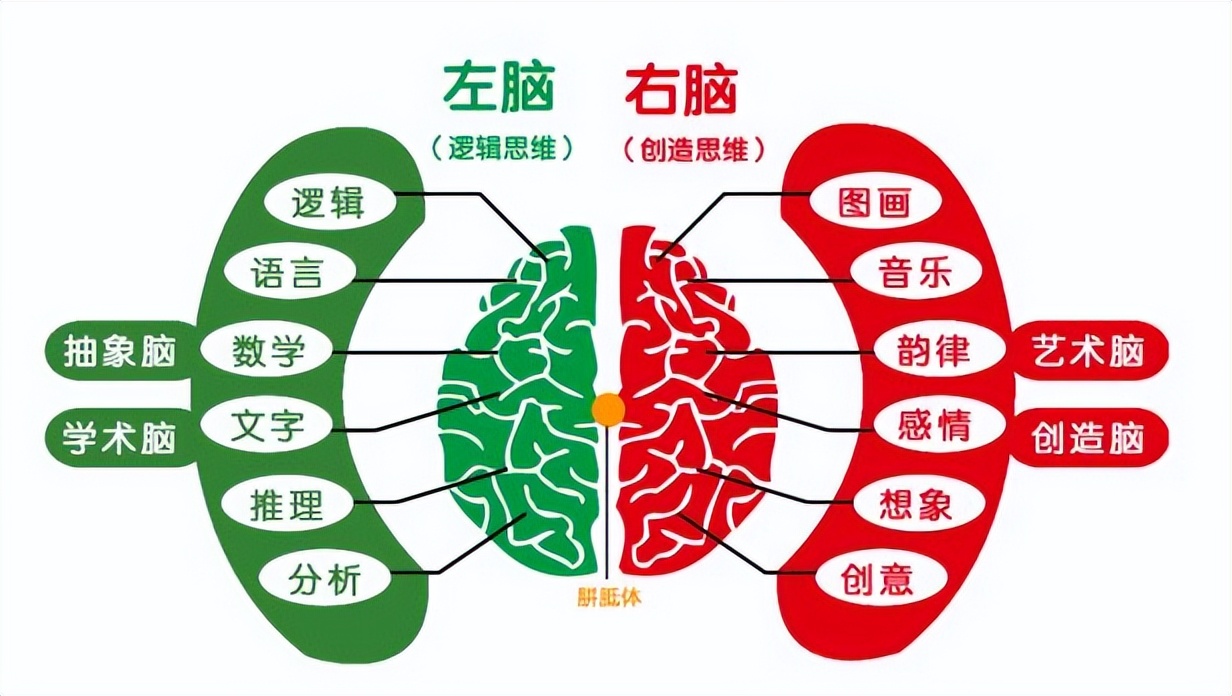 硕士妈妈带孩子玩拼图玩出超强记忆力，分享3点解释和方法