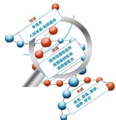 火锅记忆加盟要多少钱，“唾液测儿童天赋”项目利润超70%？