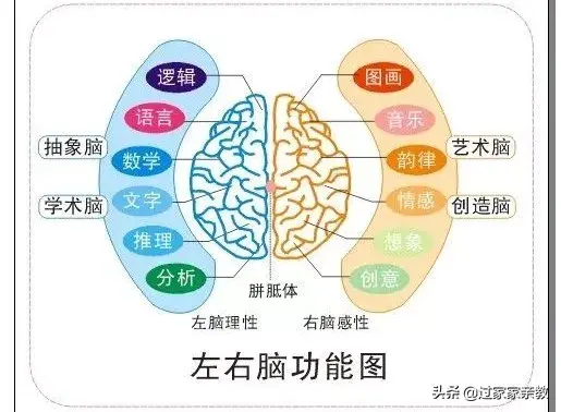 词汇串联记忆法，快速记忆第四课：图像转化与联想—对应与串联