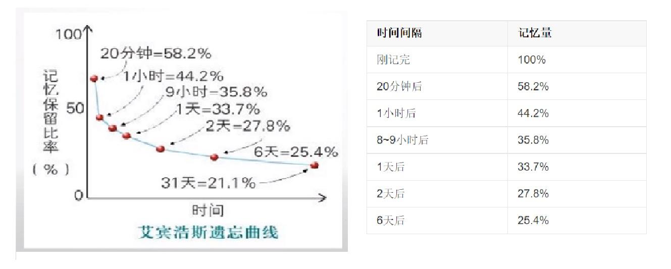 anki使用教程，网盘每日小技巧｜坚果云帮你用Anki辅助记忆