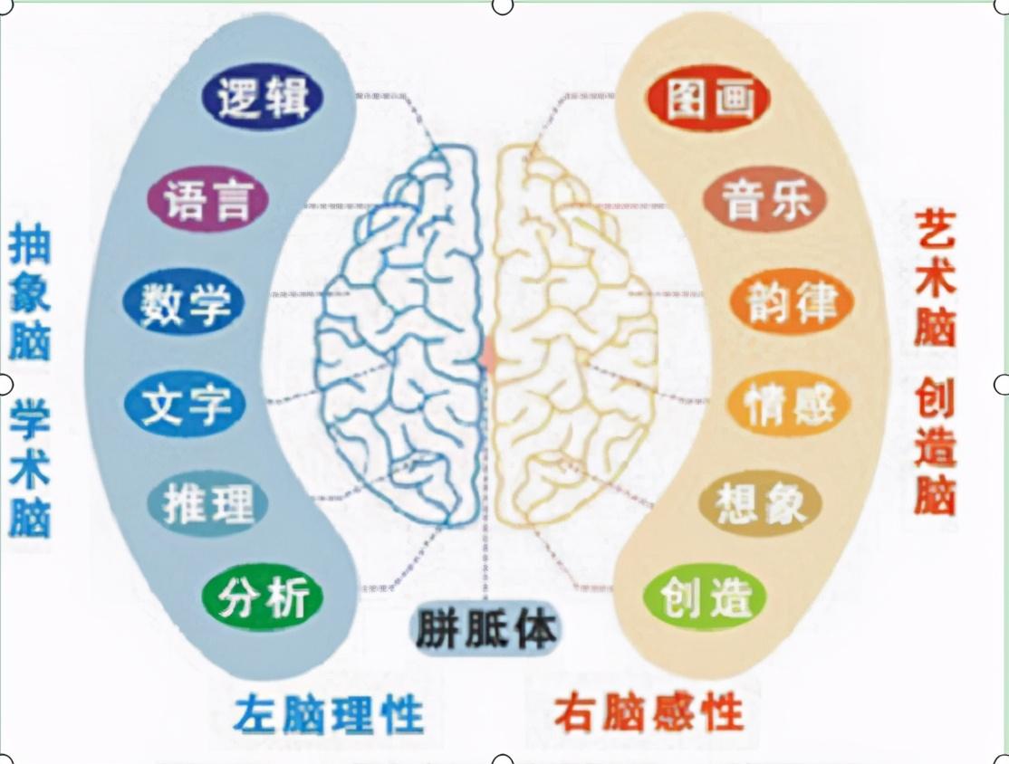 超级记忆术电子书下载，超级记忆术-揭开记忆神秘的面纱