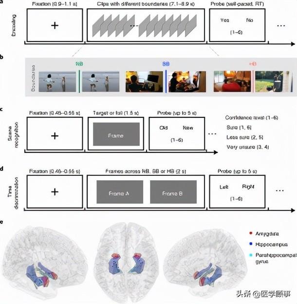 大脑记忆靠什么储存，《Nature Neuroscience》揭示了人类大脑如何分离、储存和提取记忆