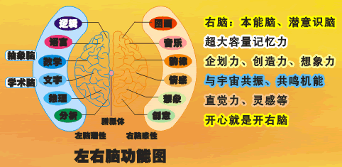 形象记忆法记单词好吗，超强大脑炼成记-形象控制记忆法训练方法及步骤