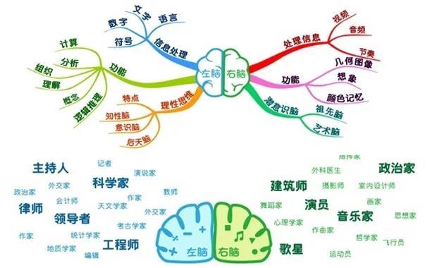 全脑教育提升记忆力、阅读力、思维导图等学习能力