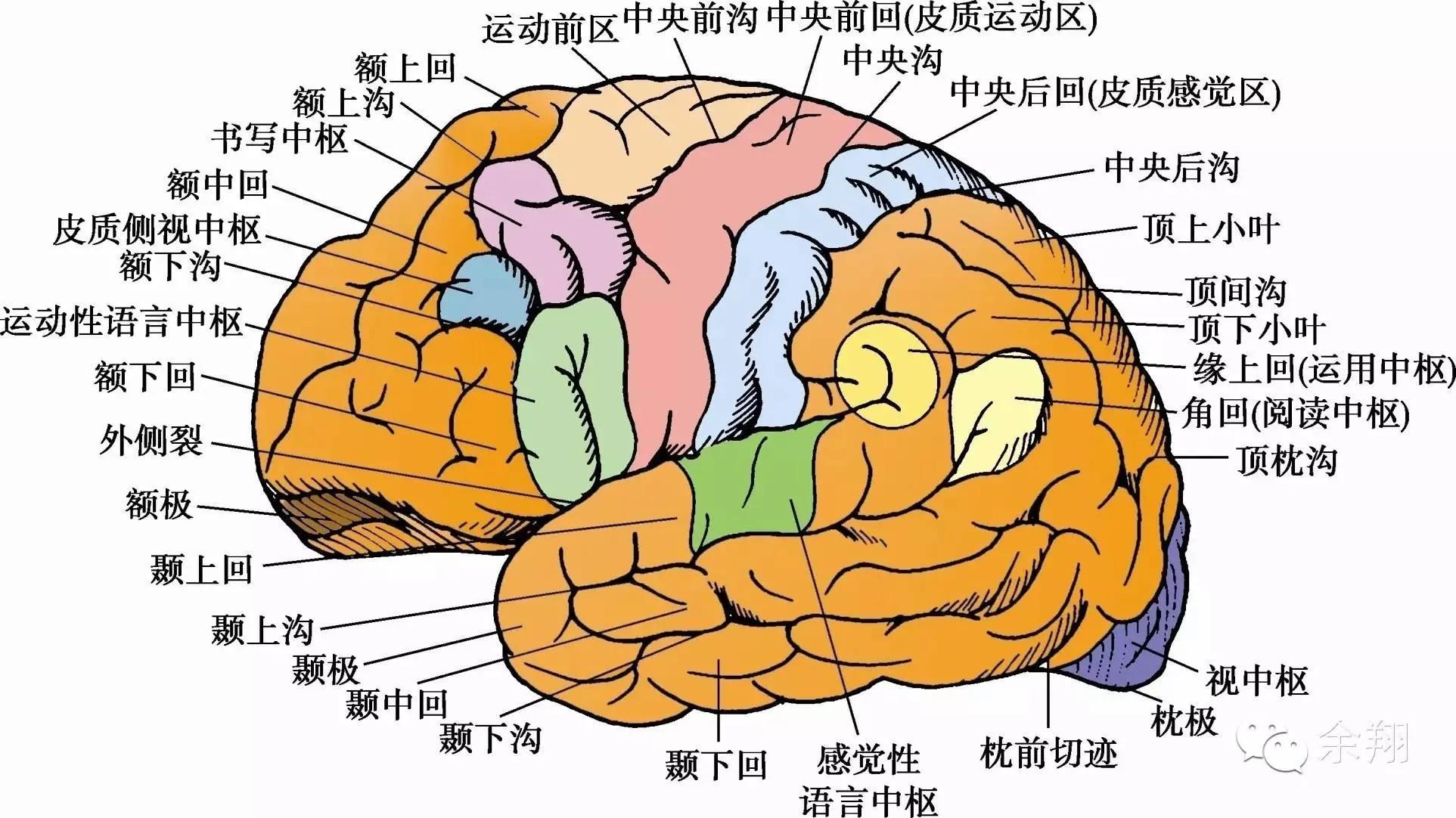 最强记忆法，怎样练就最强大脑（一）