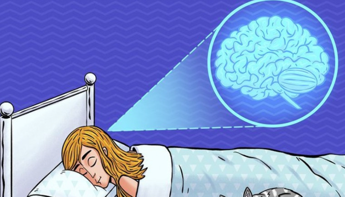 8岁孩子记忆力不好怎么回事，孩子爱睡觉是好事，大脑发育的指令你知道多少
