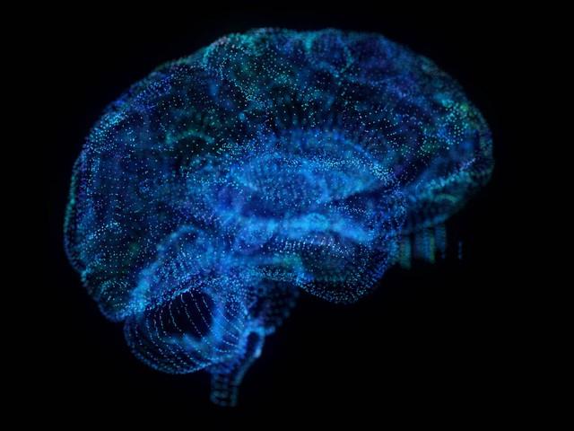 30种大脑训练方法，什么是大脑可塑性以及如何利用它来增强你的脑力
