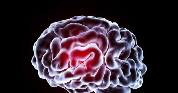 怎么增加自己的记忆力，科学家通过大脑植入物来提高人类的记忆力